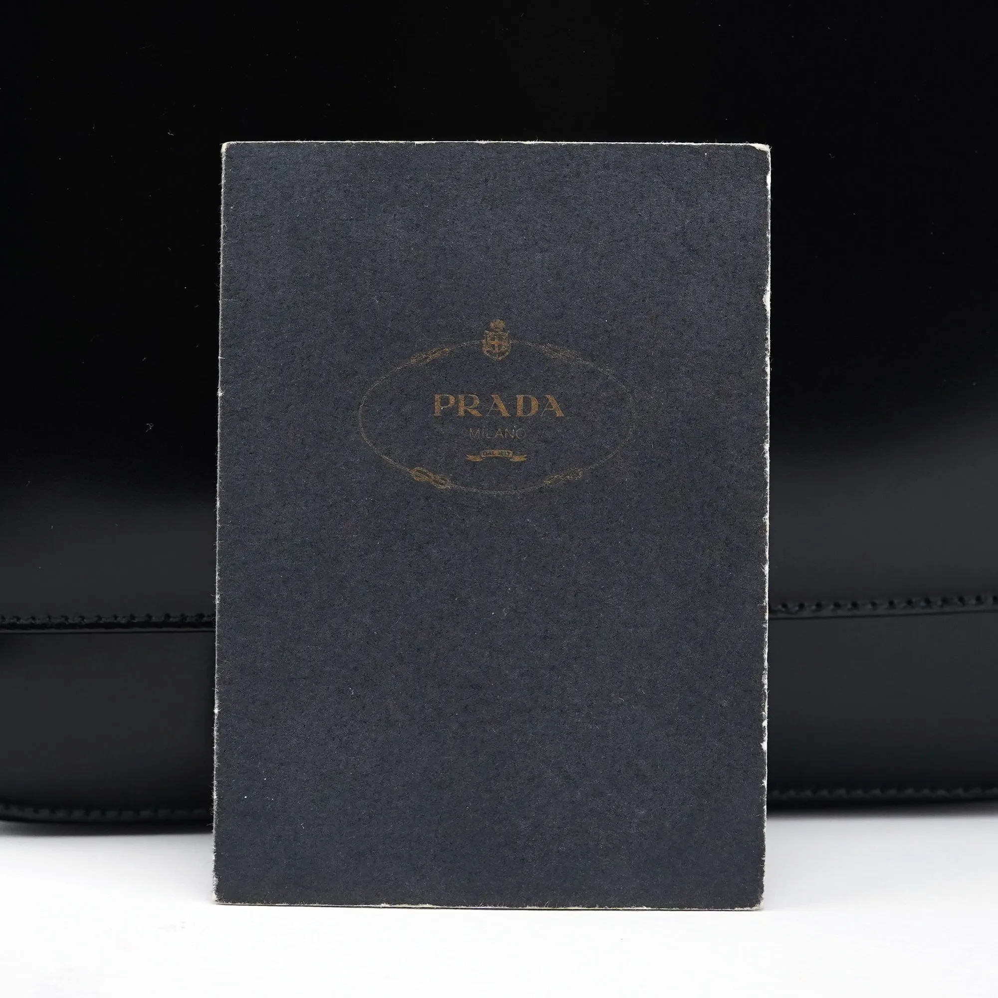 1995 Black Spazzolato Swivel Shoulder Bag