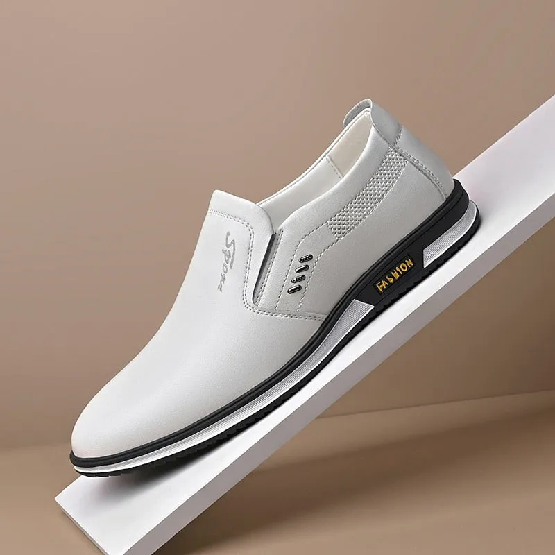 Elegant leather men's shoes in various colours