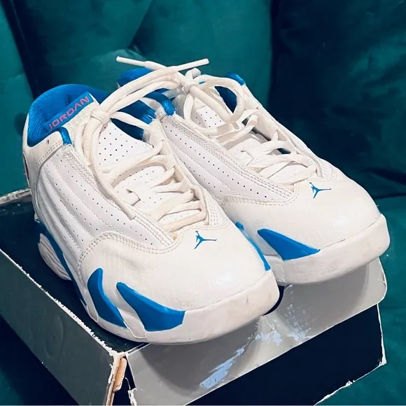 Jordan Retro 14