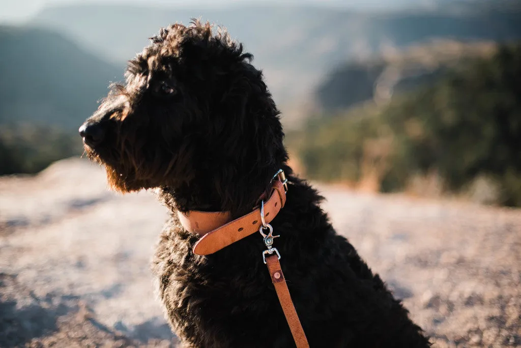 Leather Dog Collar