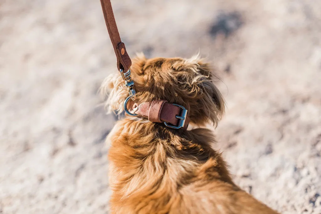 Leather Dog Collar