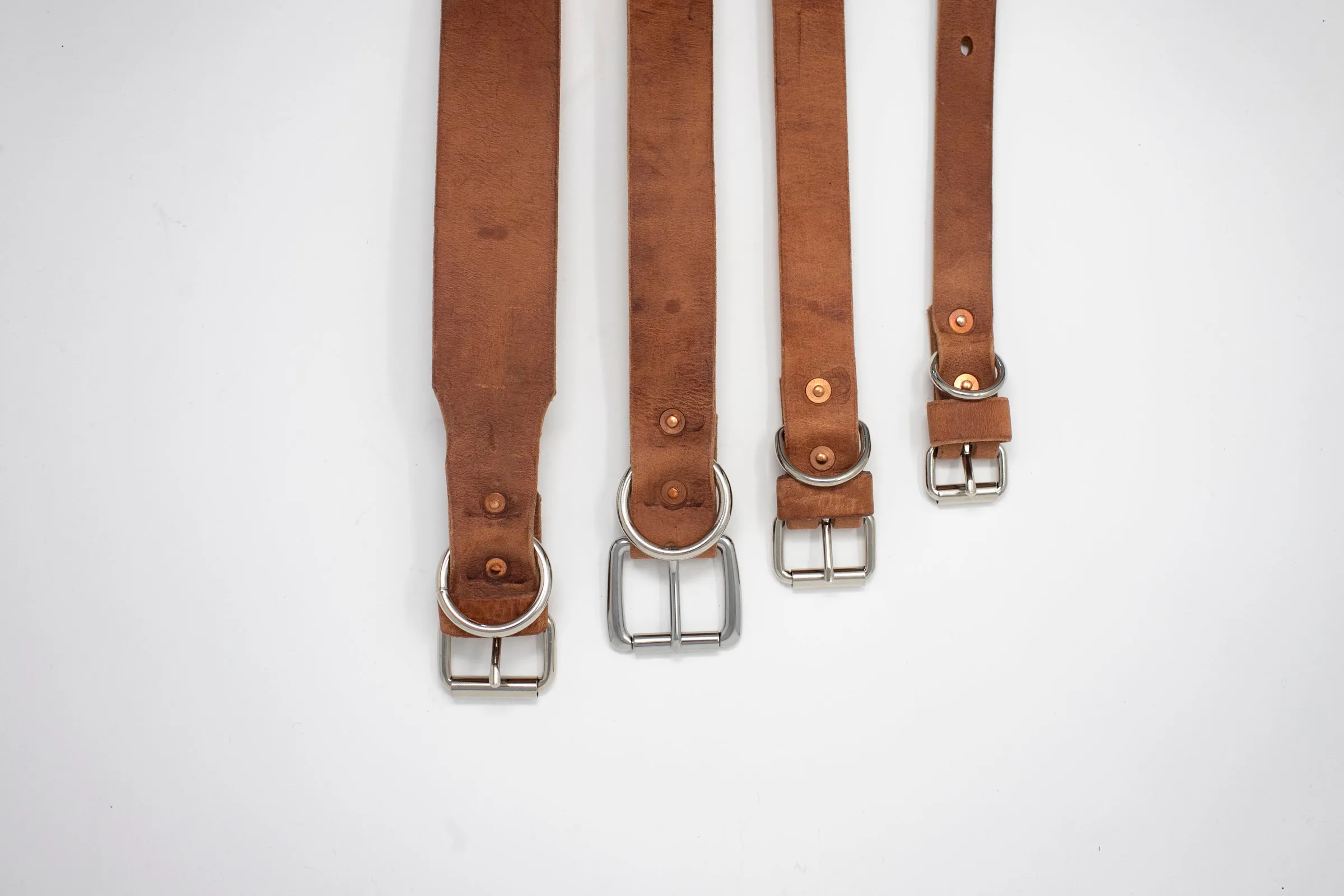 Leather Dog Collar