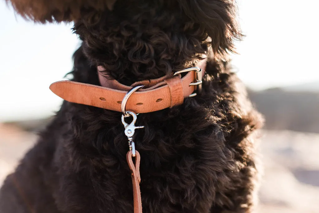 Leather Dog Collar