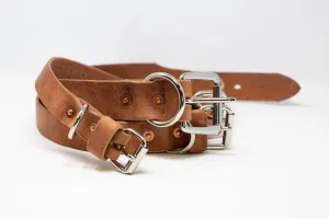 Leather Dog Collar