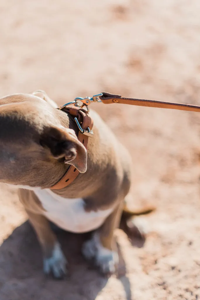 Leather Dog Collar