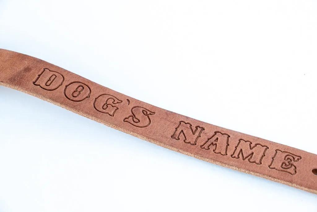 Leather Dog Collar