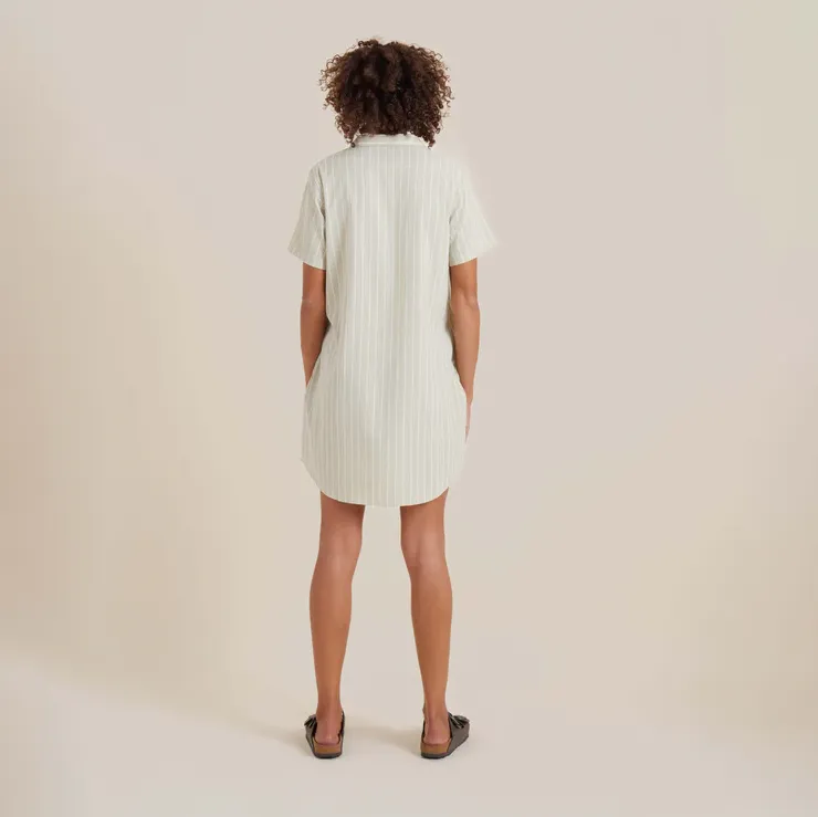 Roark Bless Up Dress in Eucalyptus